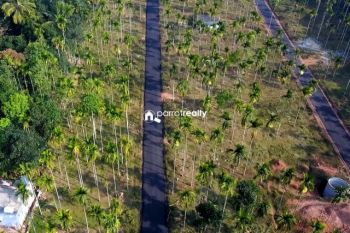 10 Cent Residential Land for Sale at Meenangadi Budget - 150000 Cent