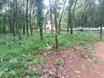 35 Cent Residential Land for Sale at Mulayamveli Budget - 130000 Cent