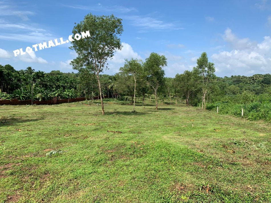 Residential Land For Sale