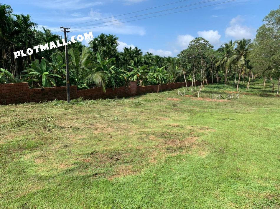 Residential Land For Sale