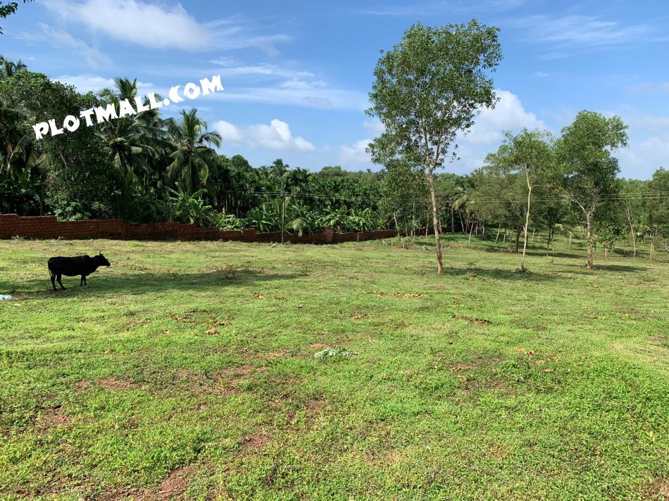 Residential Land For Sale