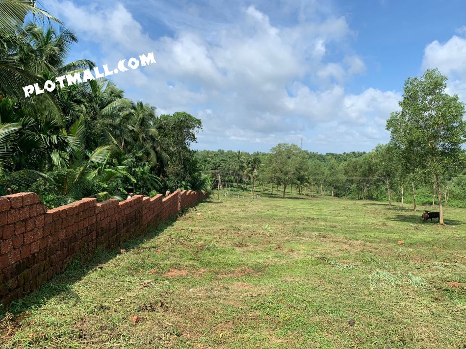 Residential Land For Sale