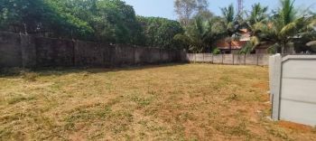 7.5 Cent Residential Land for Sale at Kattachira Budget - 875000 Cent