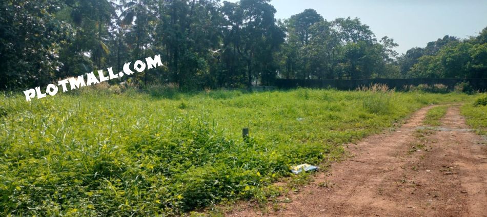 Residential Land For Sale