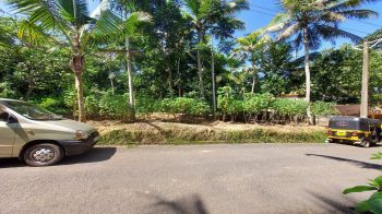 17 Cent Residential Land for Sale at Nellimoodu Budget - 275000 Cent