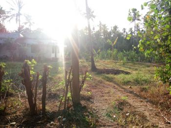 9.7 Cent Residential Land for Sale at Nenmanikkara Budget - 160000 Cent