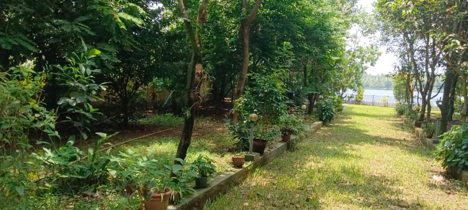 Residential Land For Sale