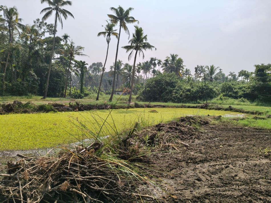 Residential Land For Sale