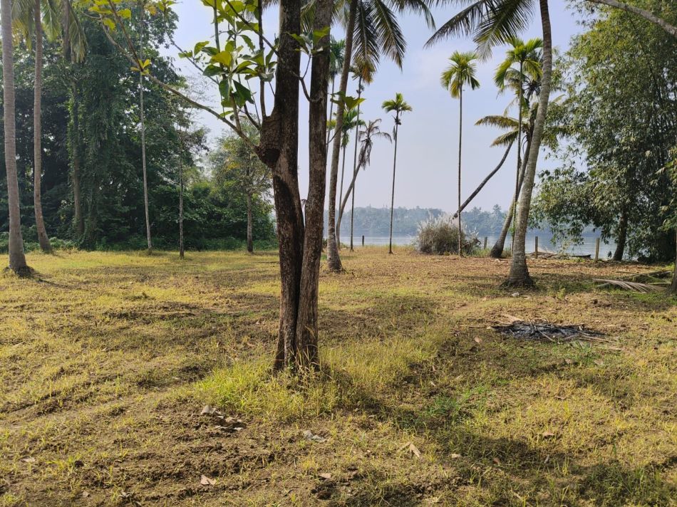 Residential Land For Sale