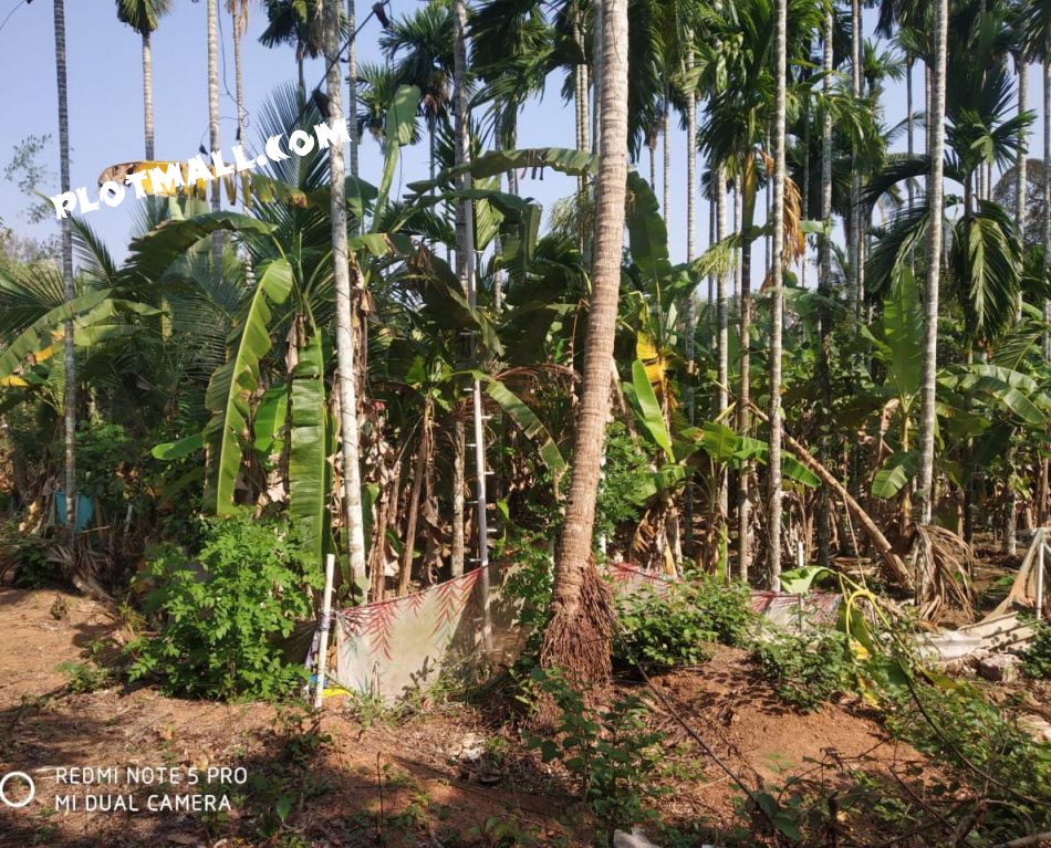 Residential Land For Sale