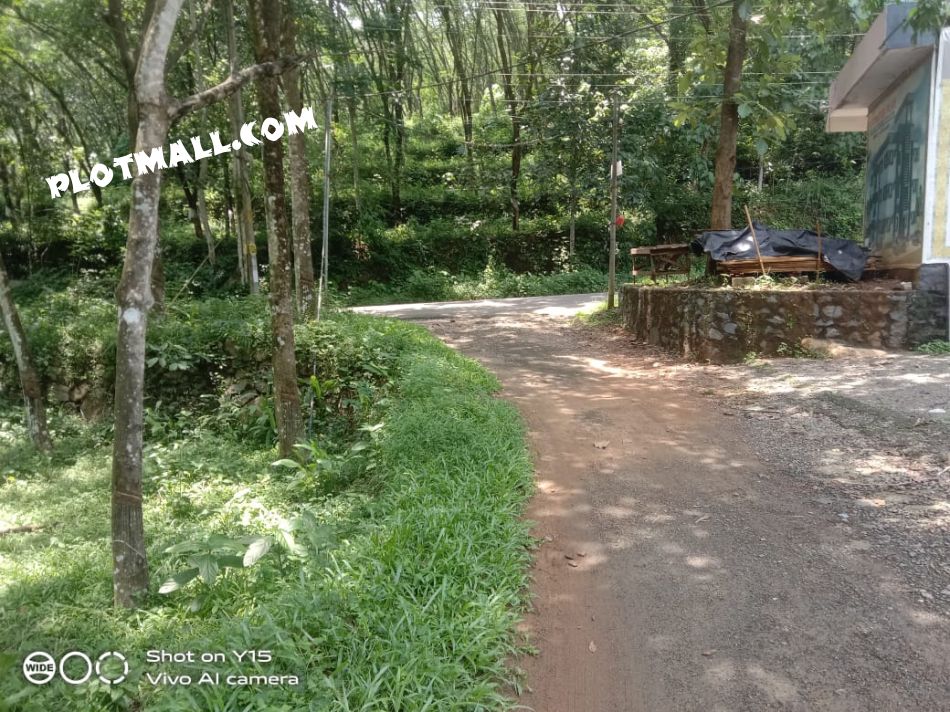 95 Cent Residential Land for Sale at Pala Budget - 11000000 Total