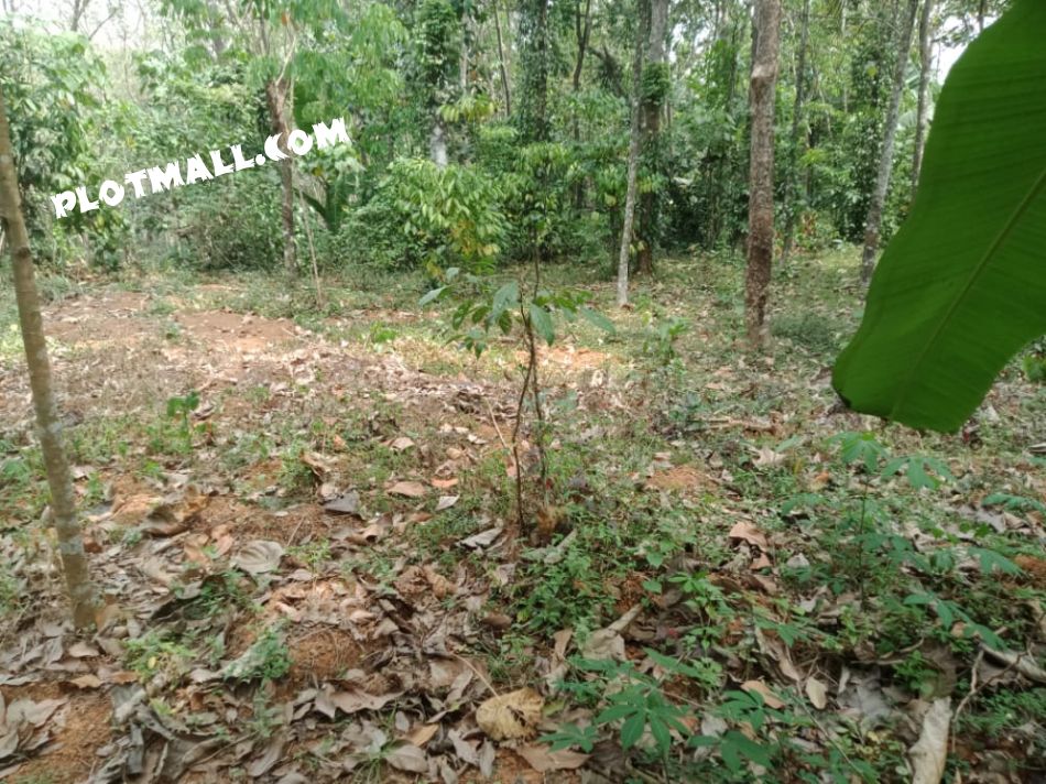 Residential Land For Sale