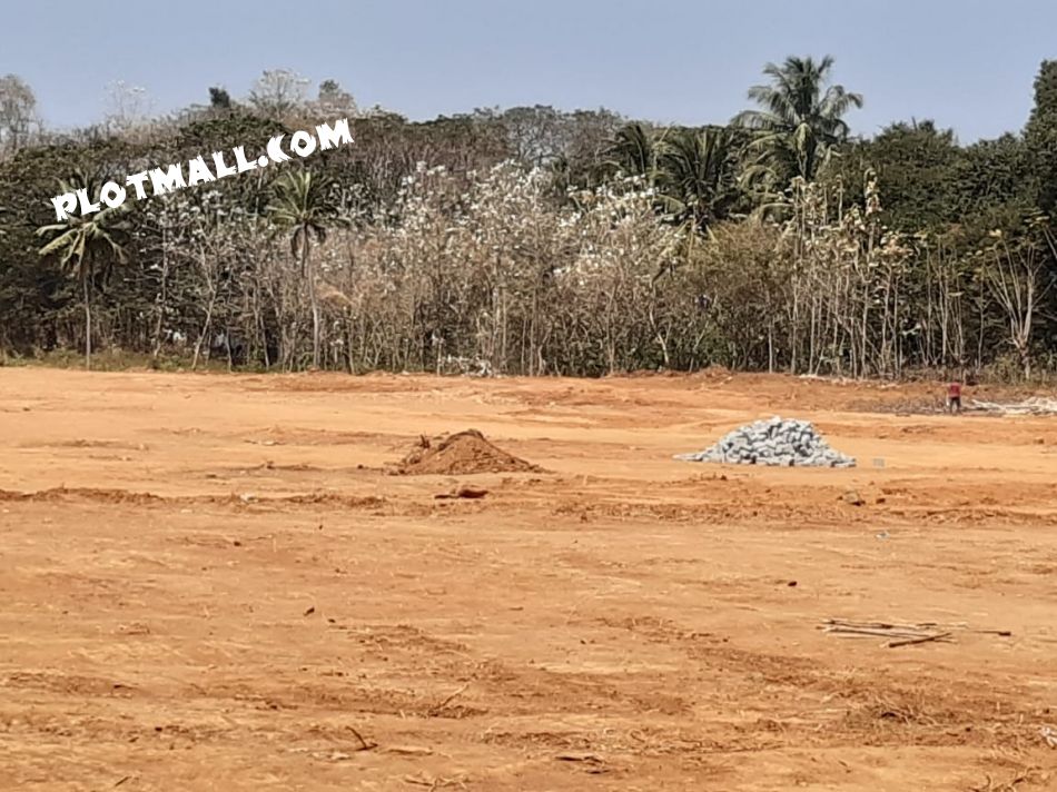 9.5 Acre Residential Land for Sale at Pallavur Budget - 125000 Cent