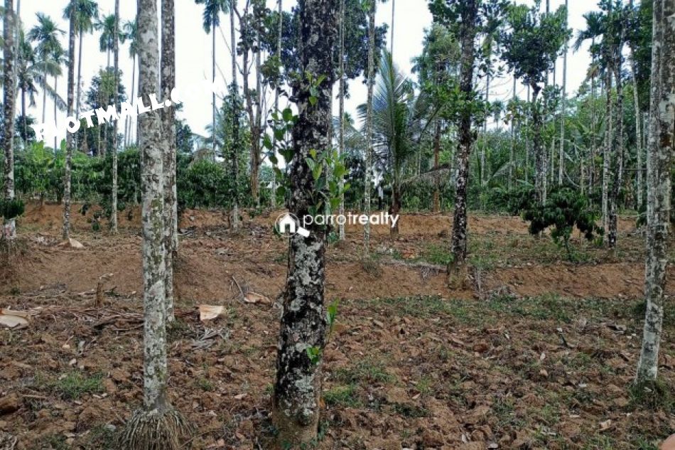 Residential Land For Sale