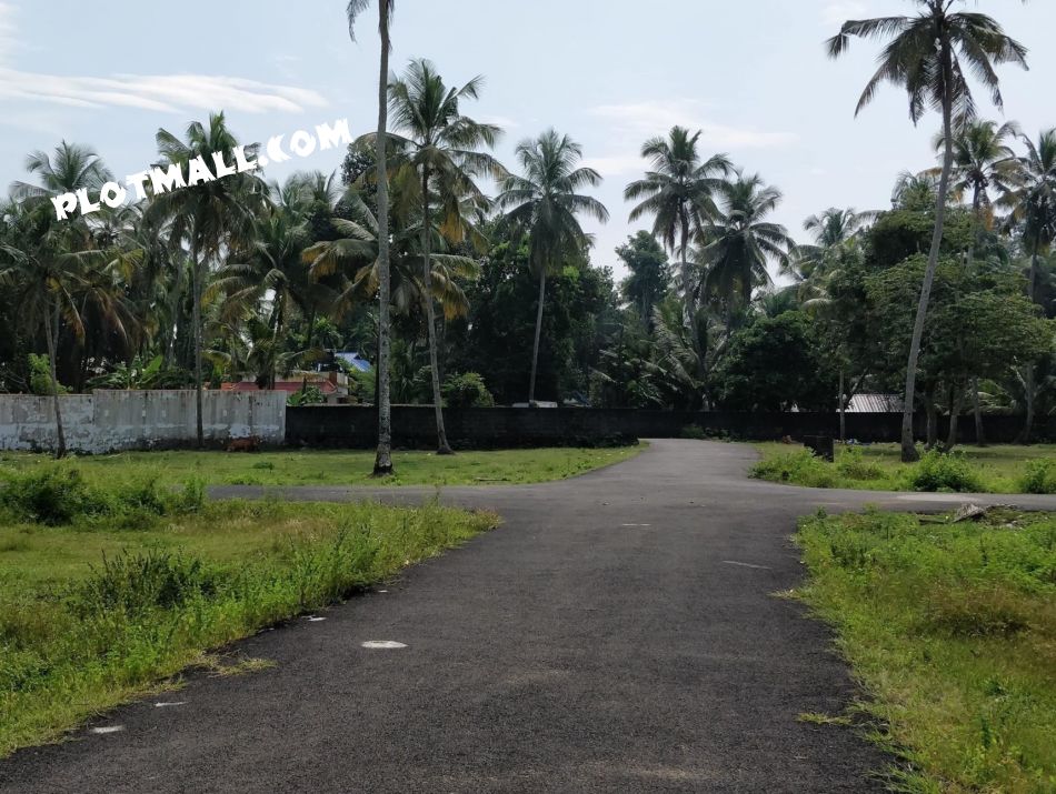 5 Cent Residential Land for Sale at Panangad Budget - 550000 Cent