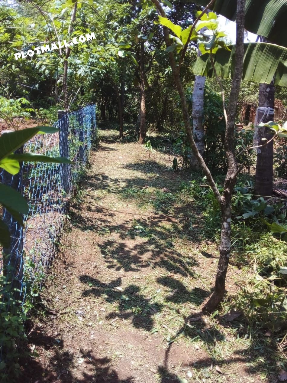 Residential Land For Sale