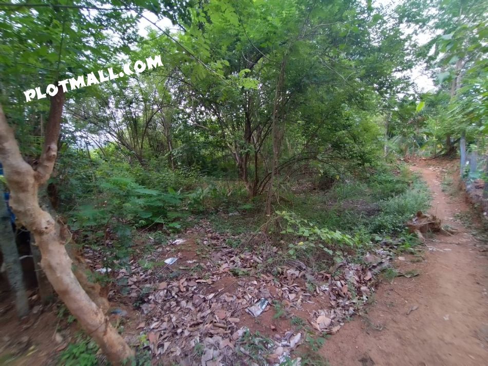 Residential Land For Sale