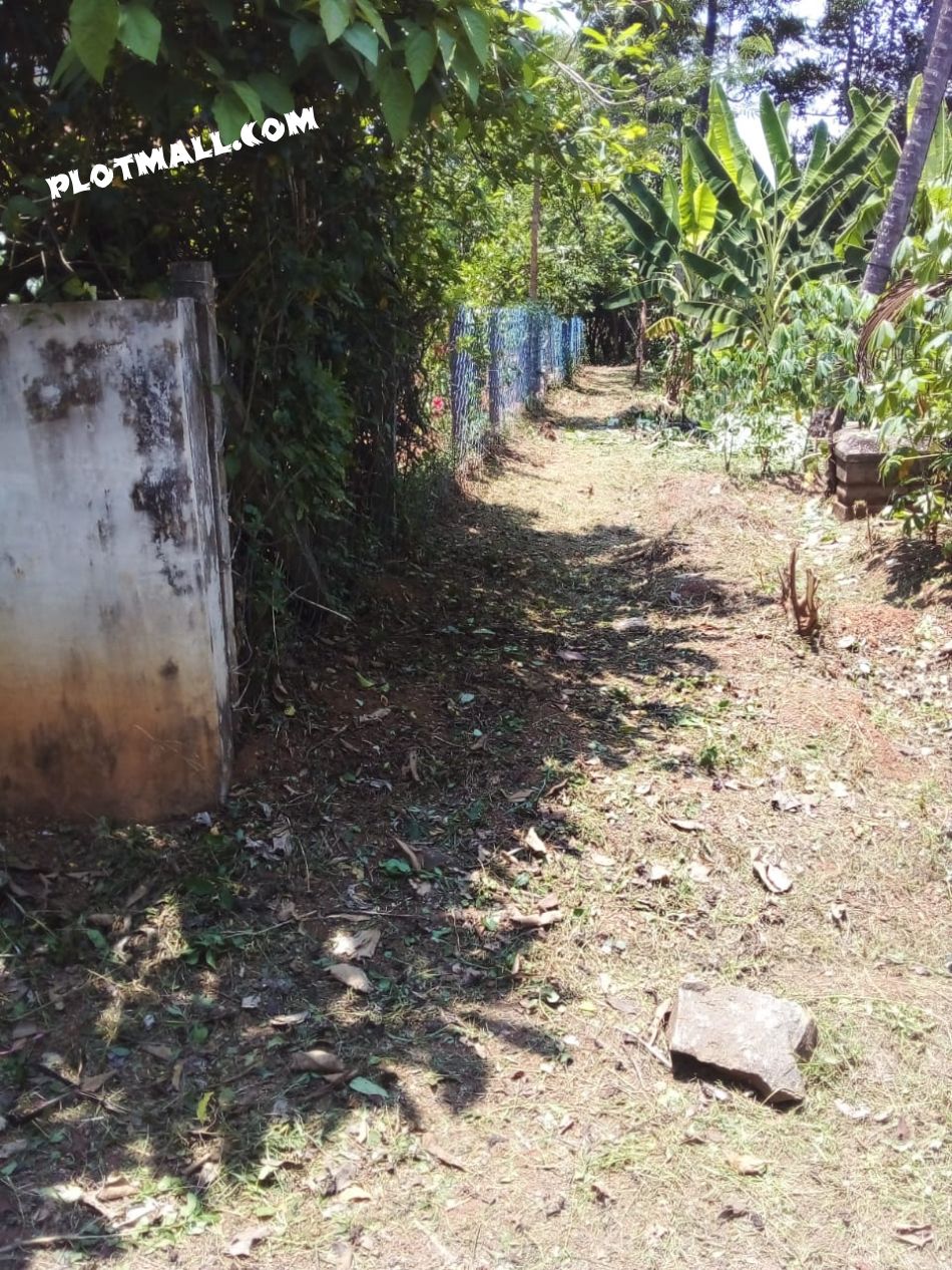 Residential Land For Sale