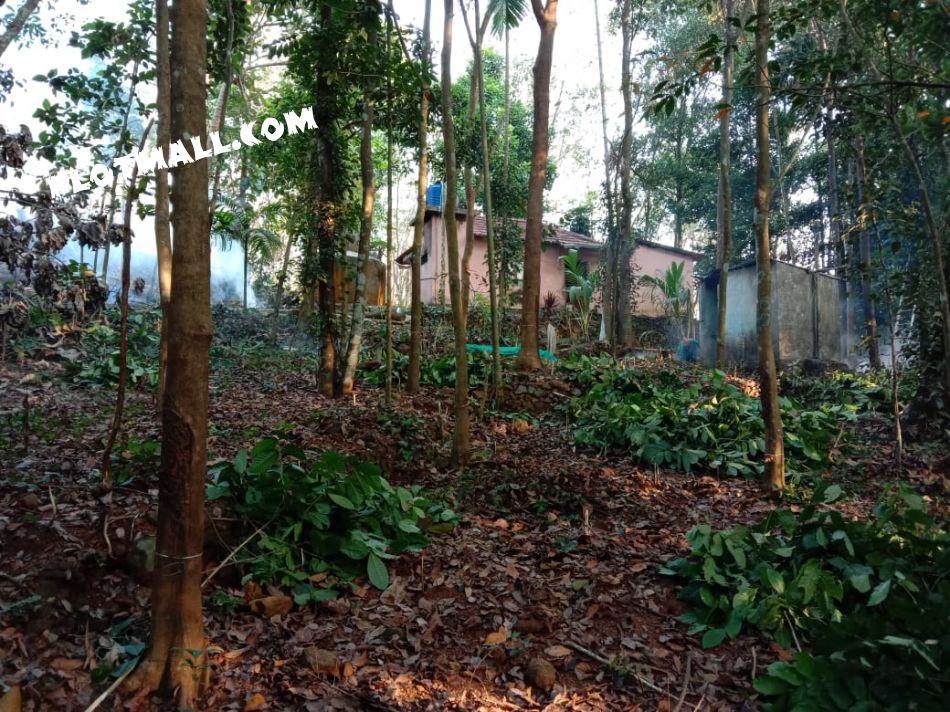 Residential Land For Sale