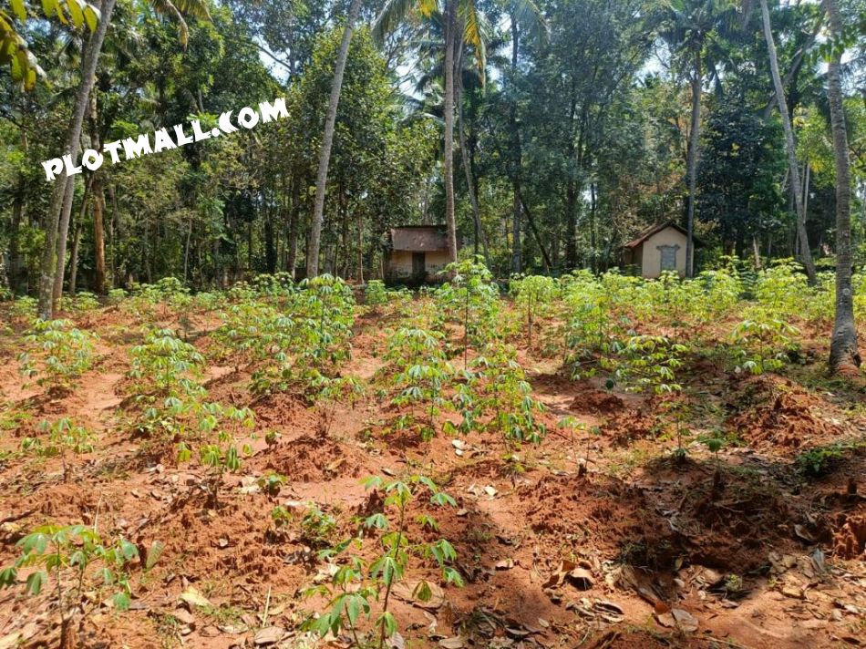 Residential Land For Sale