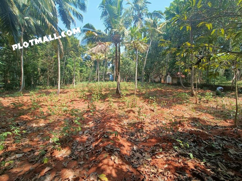 Residential Land For Sale