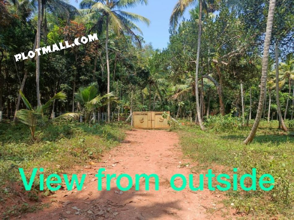 Residential Land For Sale