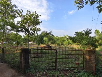60 Cent Residential Land for Sale at Kongad Budget - 100000 Cent