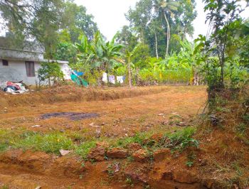 10 Cent Residential Land for Sale at Perumbavoor Budget - 1650000 Total