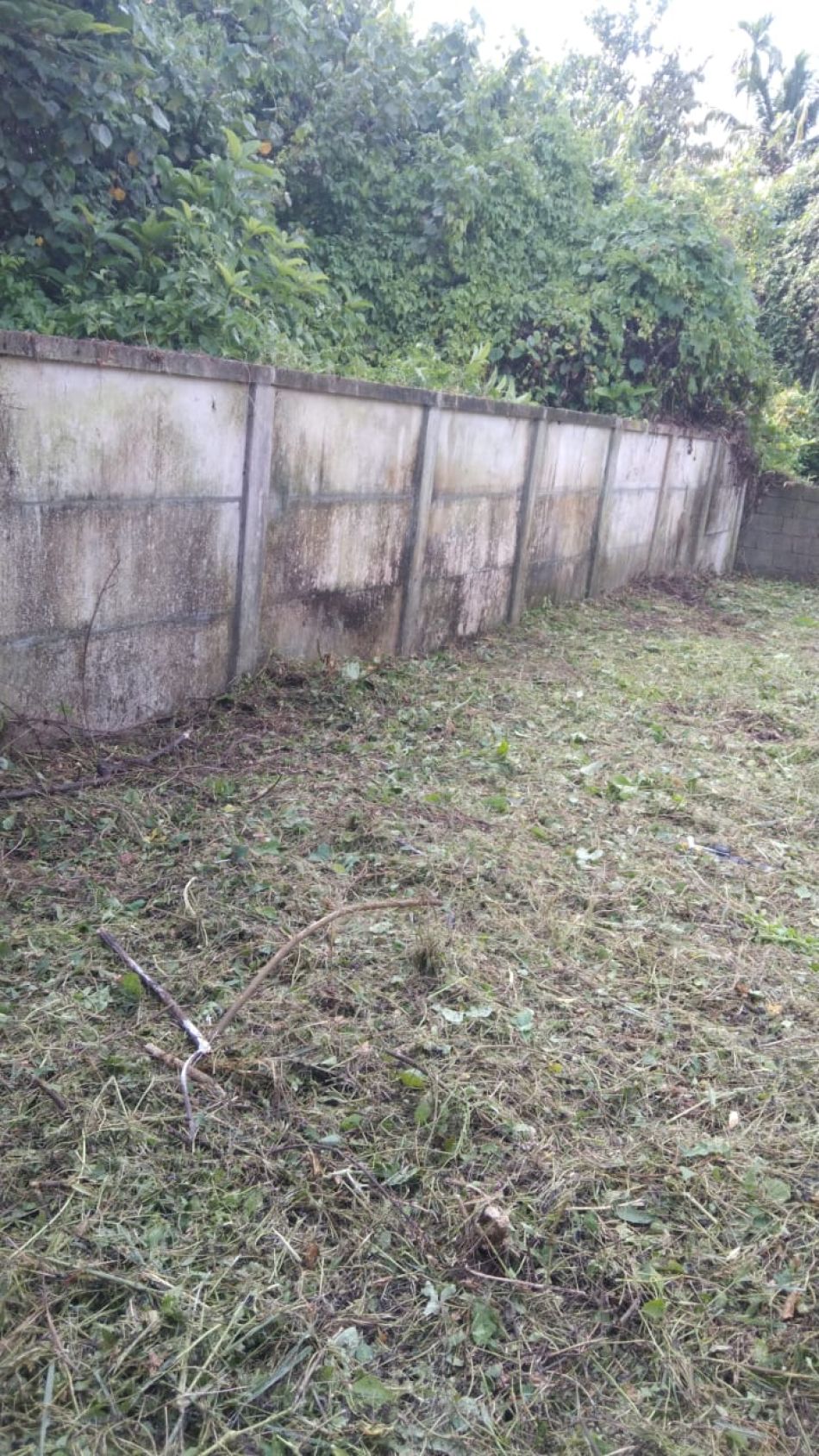 Residential Land For Sale