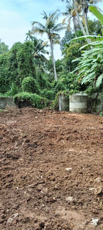 5.18 Cent Residential Land for Sale at  Budget - 525000 Cent