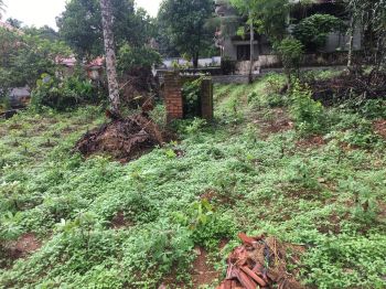 36 Cent Residential Land for Sale at Uzhavoor Budget - 600000 Cent