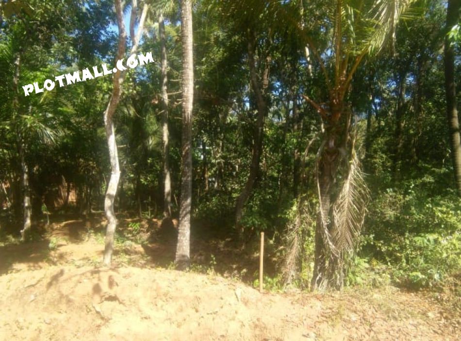 Residential Land For Sale