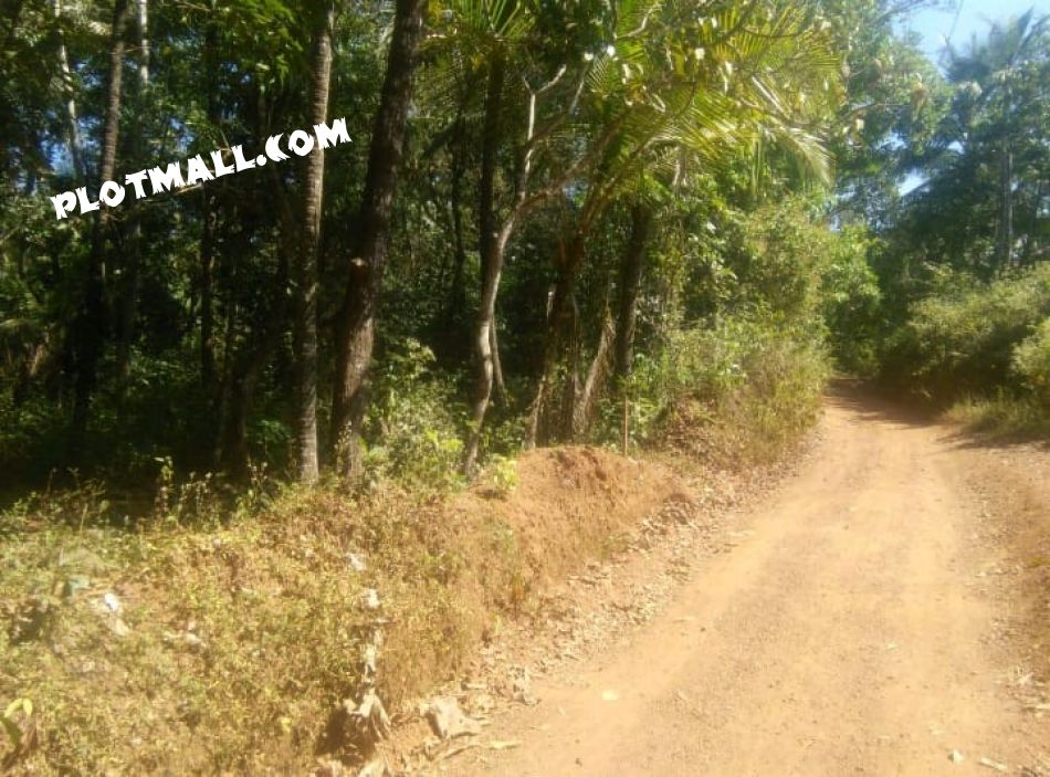 Residential Land For Sale