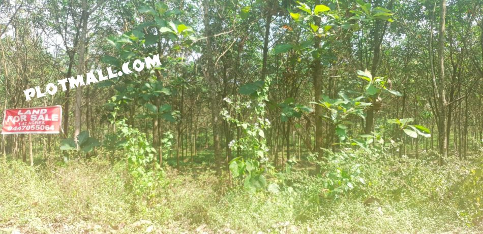 Land Interior 2