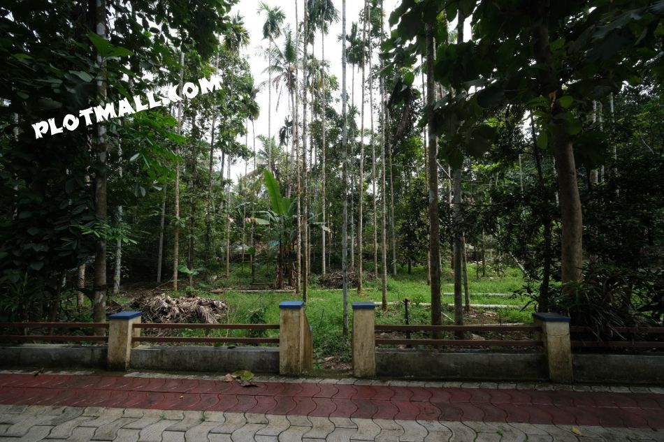 Residential Land For Sale