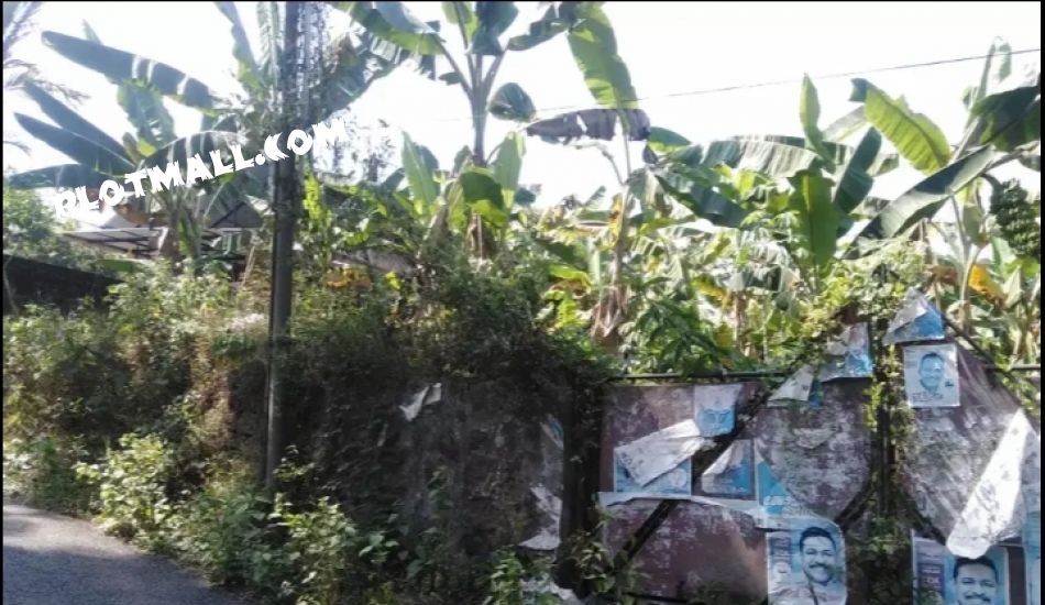 40 Cent Residential Land for Sale at Kottayam Budget - 450000 Cent