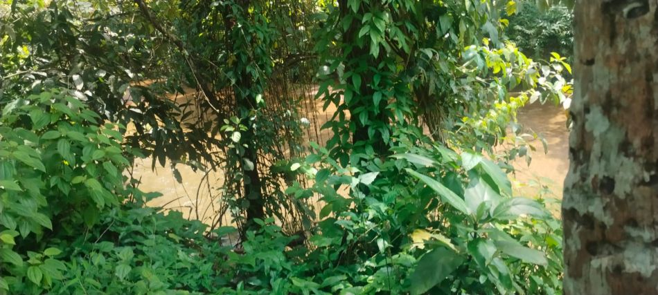 Residential Land For Sale