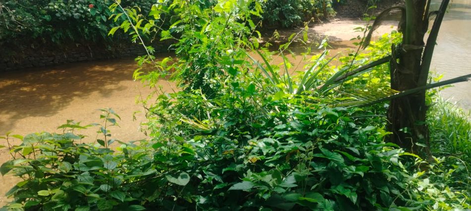 Residential Land For Sale