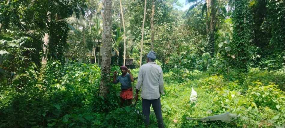 Residential Land For Sale