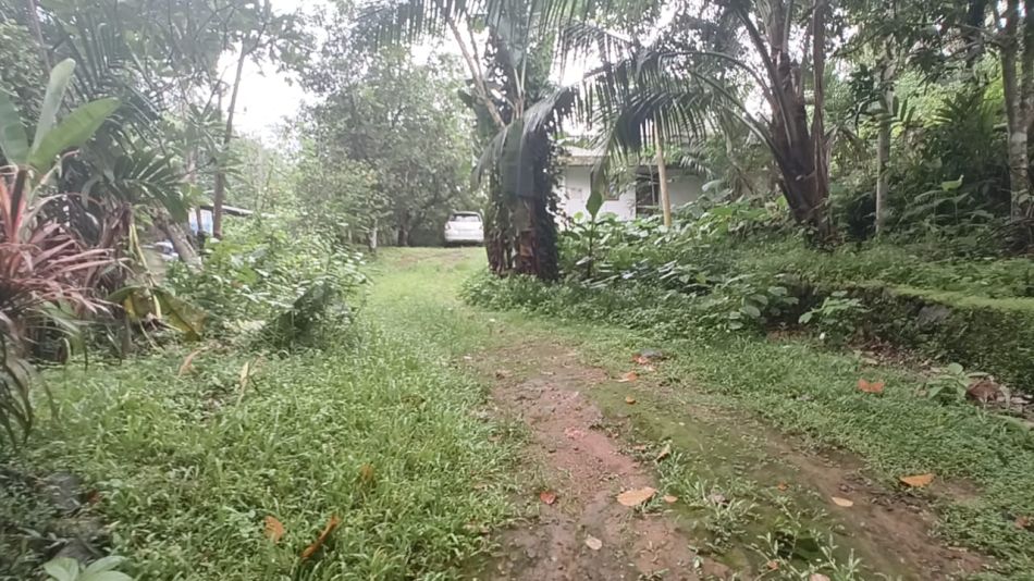 Residential Land For Sale