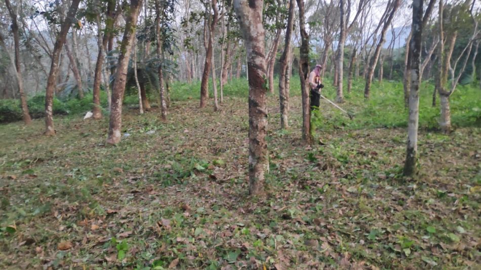 Residential Land For Sale