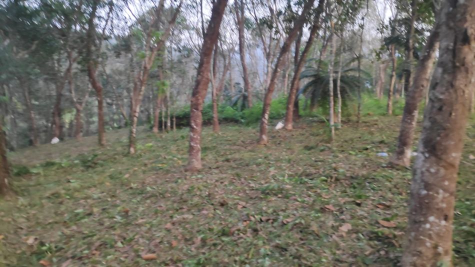 Residential Land For Sale