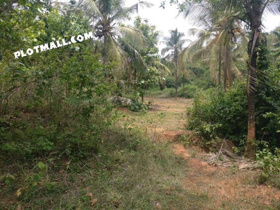 Residential Land For Sale