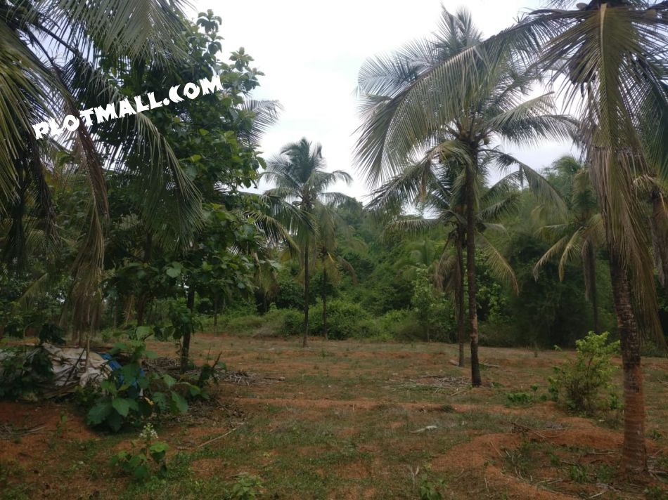 Residential Land For Sale