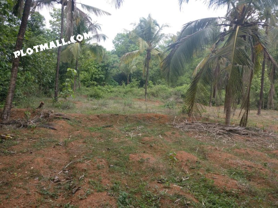 Residential Land For Sale