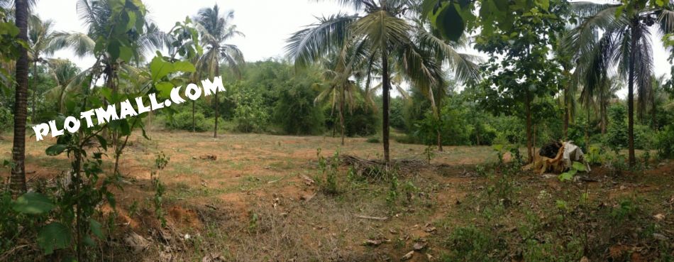 Residential Land For Sale