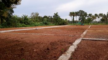 5 Cent Residential Land for Sale at Pukkattupady Budget - 500000 Cent