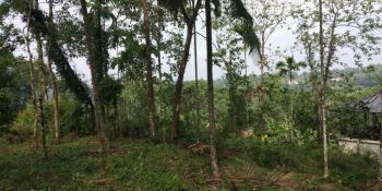 56 Cent Residential Land for Sale at Punalur Budget - 600000 Cent