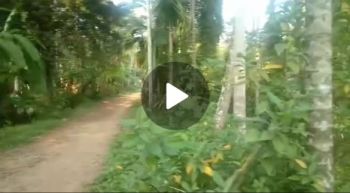 56 Cent Residential Land for Sale at Punalur Budget - 130000 Cent