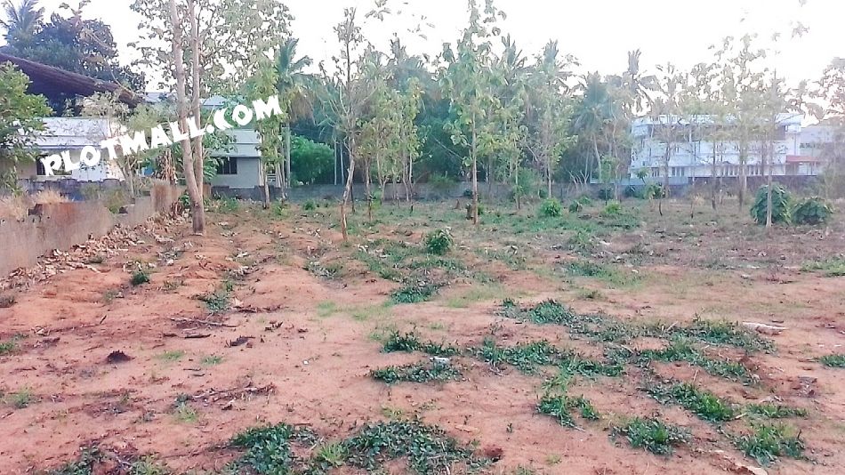 56 Cent Residential Land for Sale at Puranattukara Budget - 500000 Cent